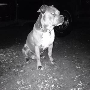 Meet your Posher, Vicki